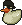 Black Pirate Duck